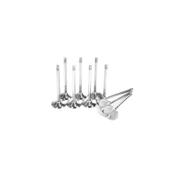 Zawór dolotowy Ferrea +1 mm do Audi / VW R32 R36 24V (krótki) F2295P Zawór dolotowy Ferrea +1 mm do Audi / VW R32 R36 24V (krótki) F2295P